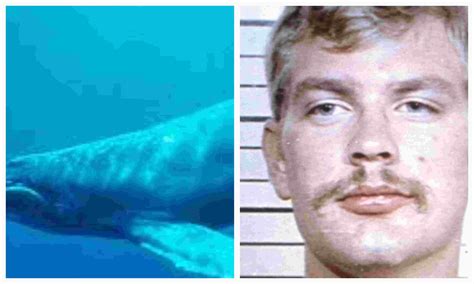 Whale noises jeffrey dahmer. Things To Know About Whale noises jeffrey dahmer. 
